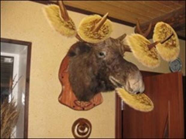 Лось с блинами