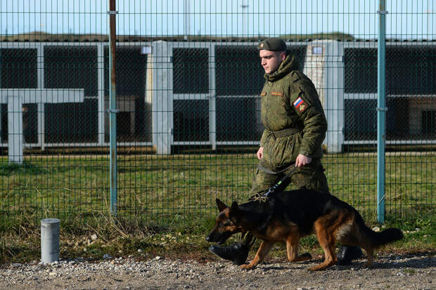 Экс-следователь Козлов: Асылханова необходимо искать с собаками