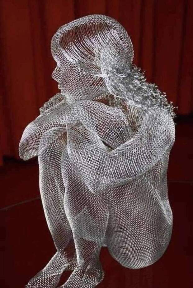 Сетчатая Сетчатая