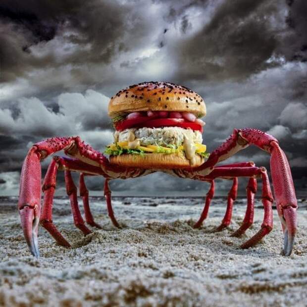 Оригинальные бургеры в проекте Fat & Furious Burger (18 фото)