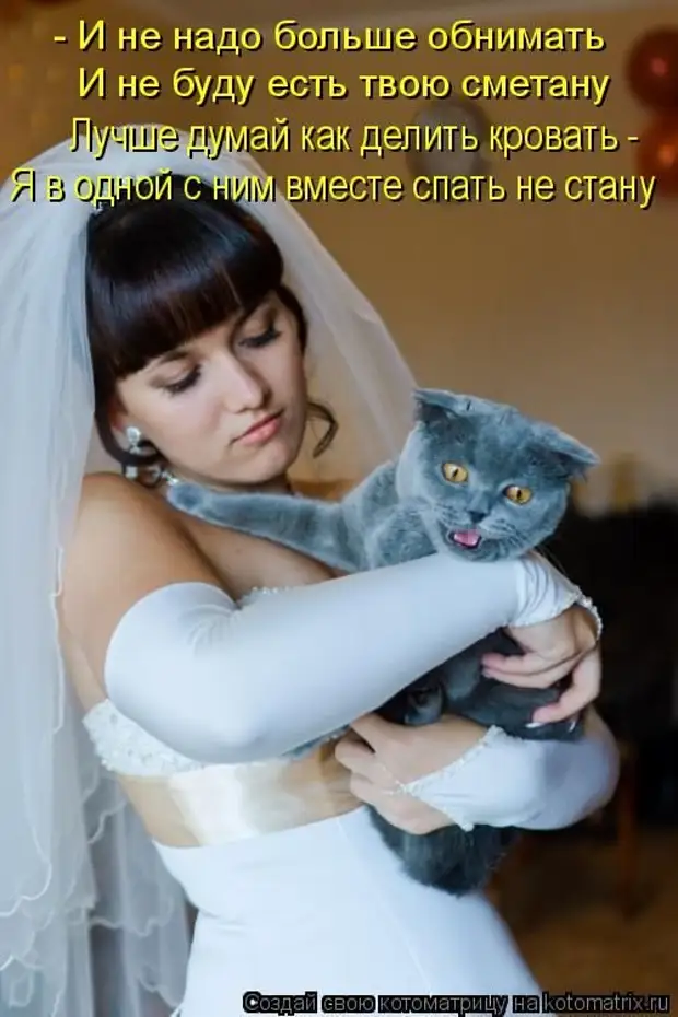 Надо было выходить замуж. Кота женили. Замуж за кота. Теперь невеста. Коты женятся.