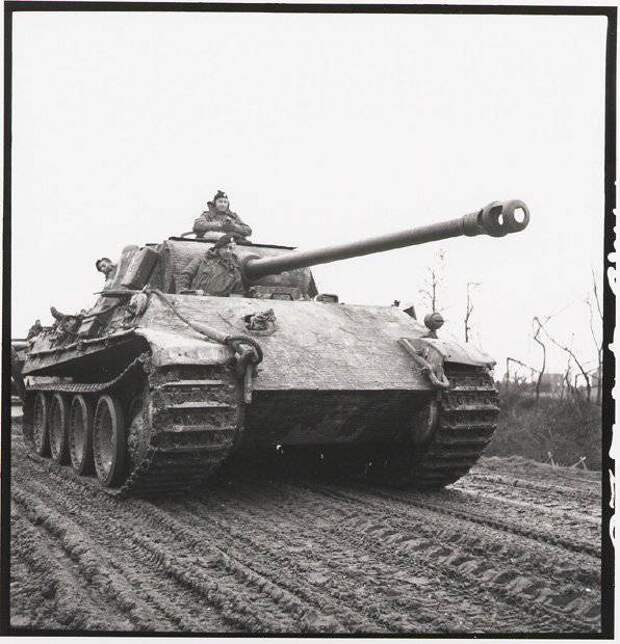 161661_or