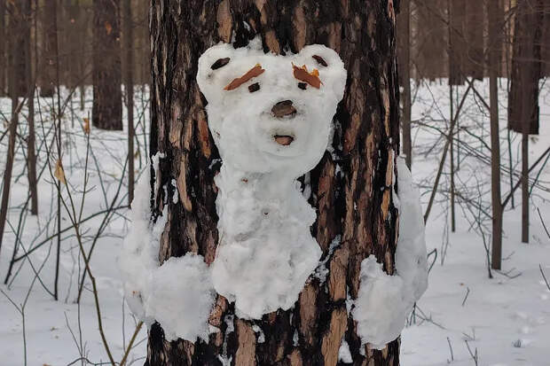 Тающий снег затопит улицы Новосибирска в день Феофана Исповедника 25 марта