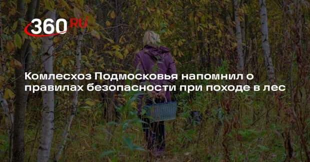 Комлесхоз Подмосковья напомнил о правилах безопасности при походе в лес