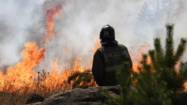 В Приморье отменили особый противопожарный режим