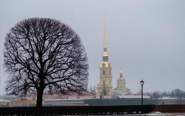 Холодный фронт принесёт в Петербург дожди и мокрый снег