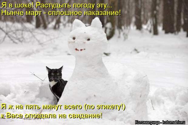Котоматрица: Я в шоке! Растудыть погоду эту... Нынче март - сплошное наказание! Я ж на пять минут всего (по этикету!) к Васе опоздала на свидание!
