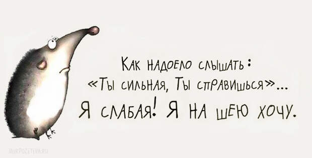 Самая веселая подборка прикольных картинок