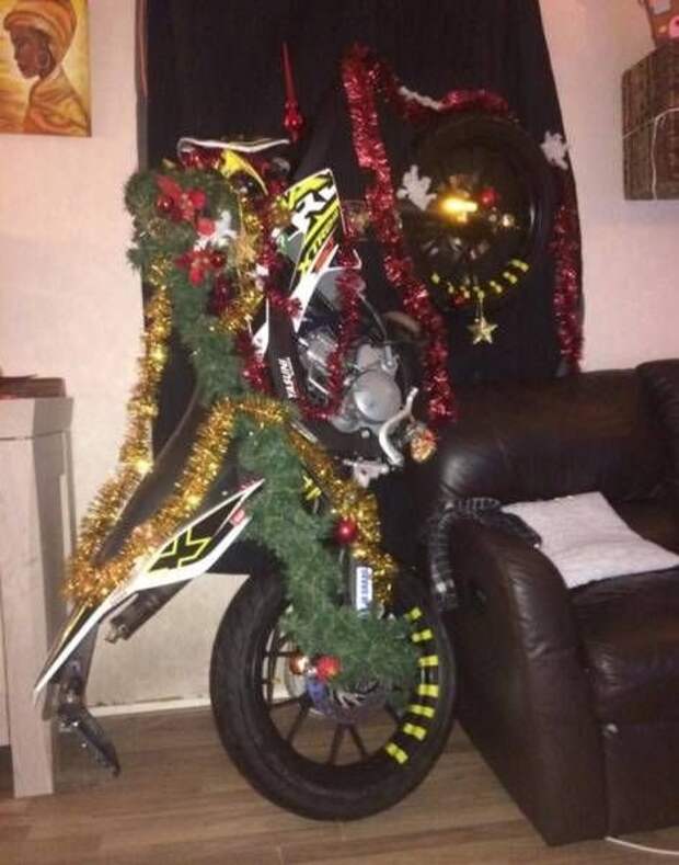 Прикольные картинки (15.12.16)