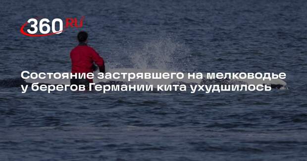 Bild: застрявшему у берегов ФРГ киту стало хуже перед новой попыткой спасения