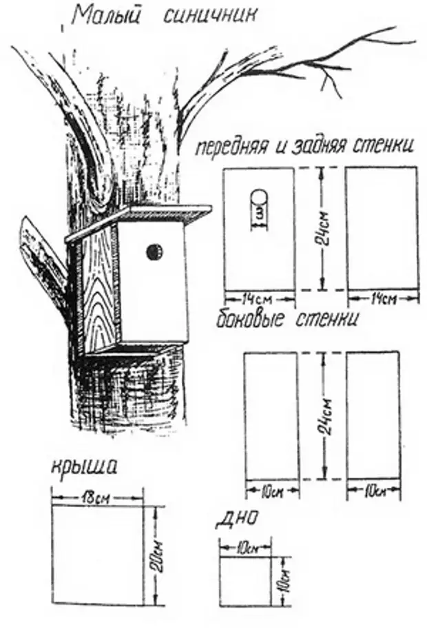 Домики для птиц своими руками чертежи и размеры