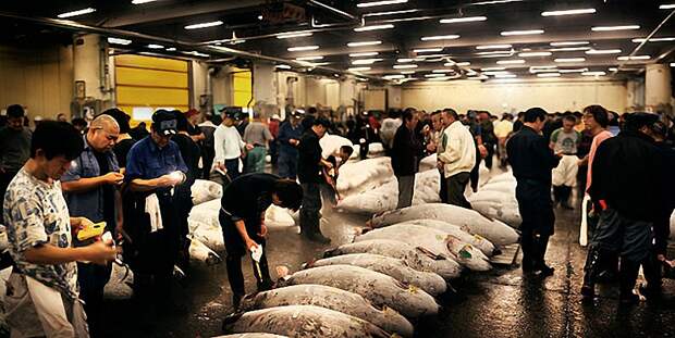 001 Tokyo Fish Market 8 Самые вкусные места мира