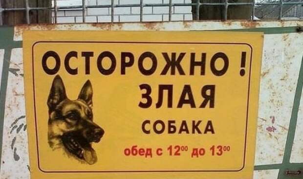 Таблички от хозяев с прекрасным чувством юмора животные, таблички, чувство юмора