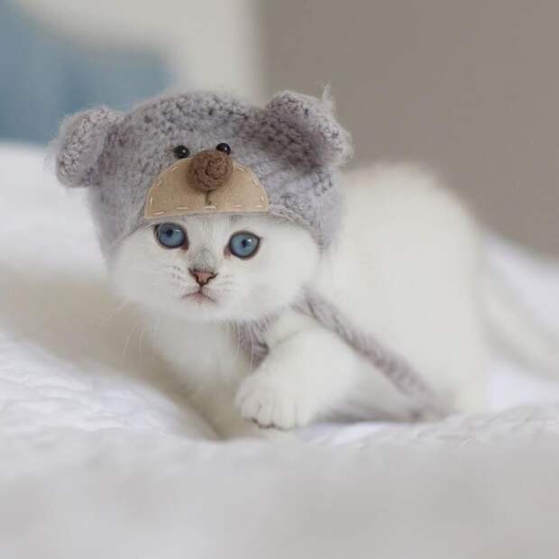 H8yomGrmLno (700x700, 137Kb)