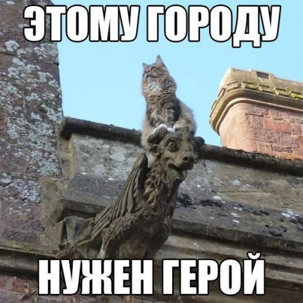 Новый сборник забавных фотомемов (20 шт)