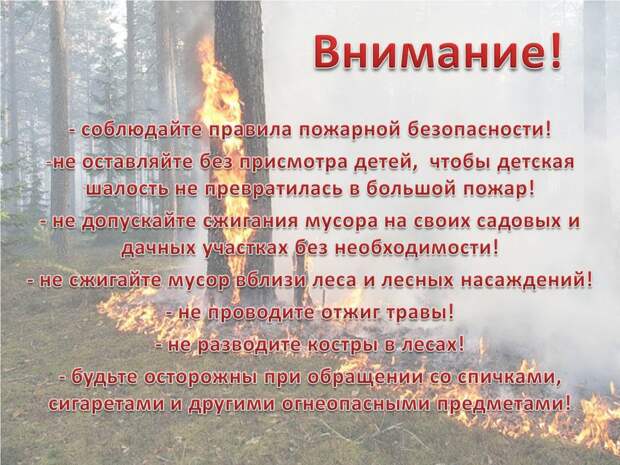 пресс-служба МЧС по СЗАО пресс-служба МЧС по СЗАО