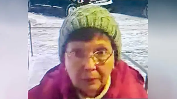 Тело похищенной по дороге на дачу пенсионерки нашли в Тульской области ...