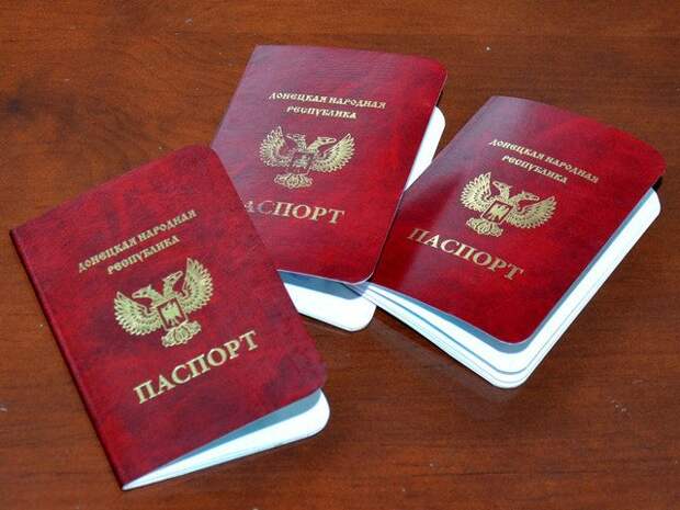 МИД: признание паспортов ДНР и ЛНР - временное решение