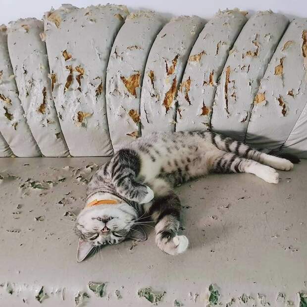 Когда я пришёл, так уже было Когда я пришёл, так уже было
