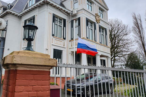 В МИД оценили нацистские выкрики украинцев в адрес участников «Бессмертного полка» в Гааге
