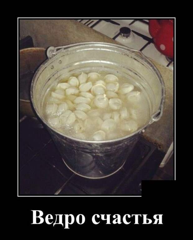 demotivatory-demotivator-smeshnye-demotivatory-demotivator-so-smyslom