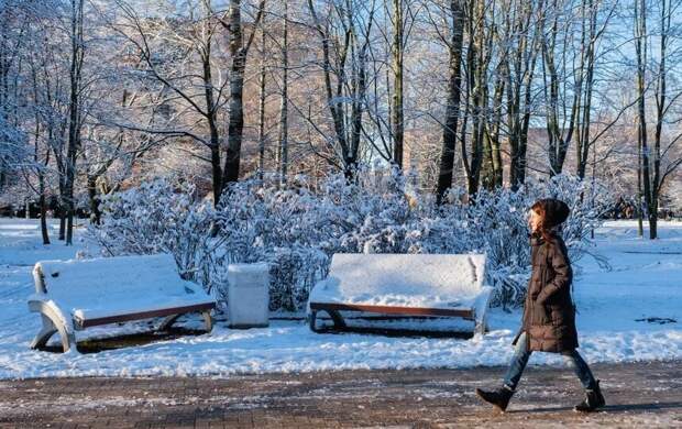Потепление приходит в Петербург: синоптики обещают комфортную погоду для прогулок