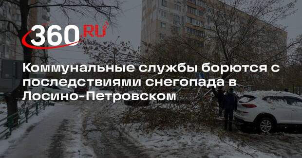 Коммунальные службы борются с последствиями снегопада в Лосино-Петровском