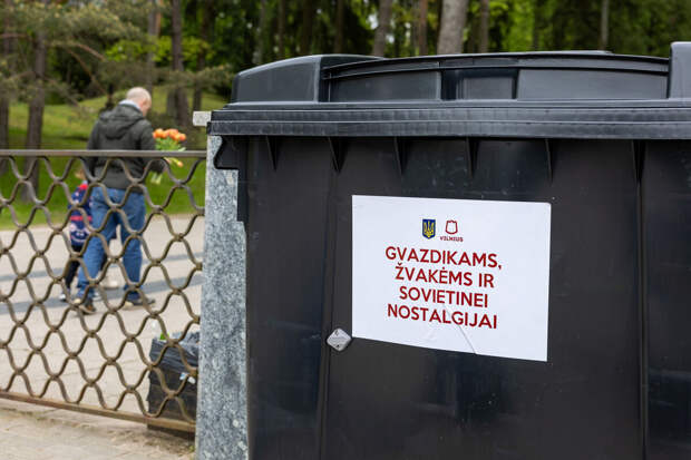 Мэр Вильнюса призвал выбрасывать в мусорку предназначенные для памятников цветы