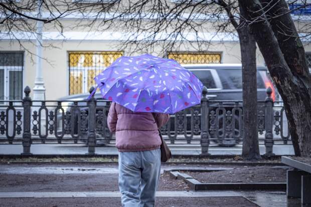 Силу грядущих в Москве дождей оценили