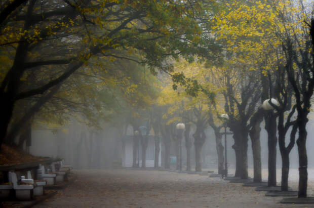 Autumn path...... by Юрий Цыплятников on 500px.com