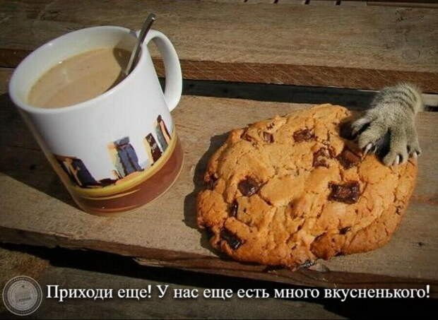 Много вкусного...