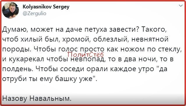 Политические комментарии из инета