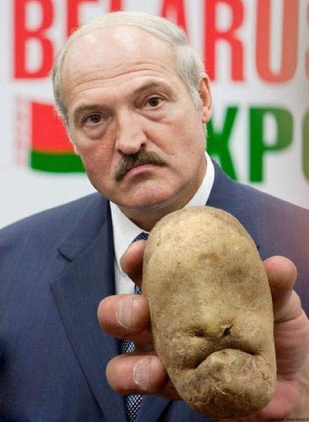Великолепный обман зрения. Мегахит!