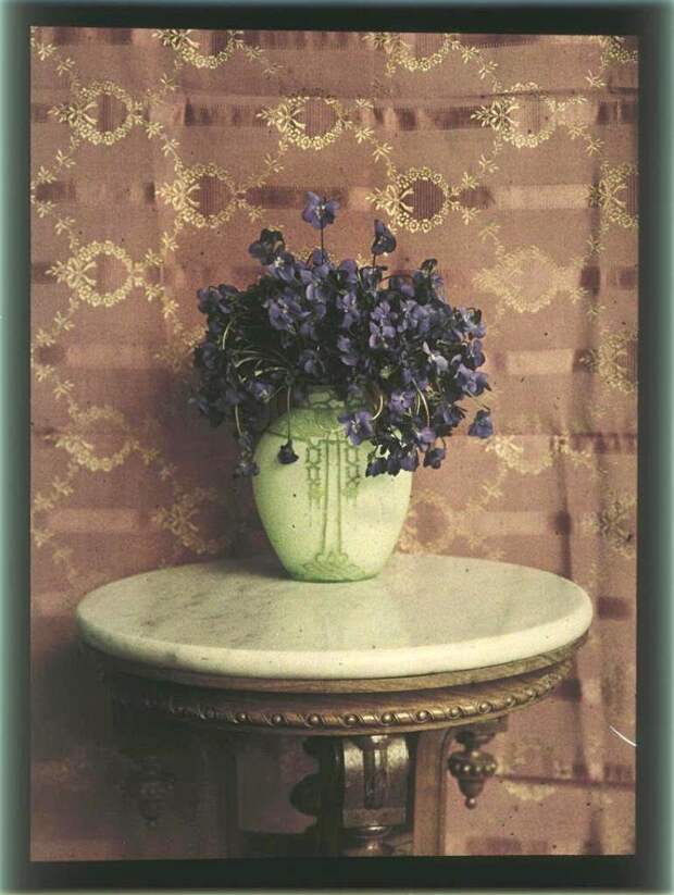 Цветы в вазе. 1910-е 100 лет назад, история, кадр, люди, россия, фото