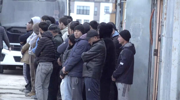 Полиция провела миграционный рейд в строительных городках Шушар