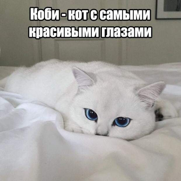 Прикольные картинки с надписями со смыслом (12 фото) Прикольные картинки с надписями со смыслом (12 фото)