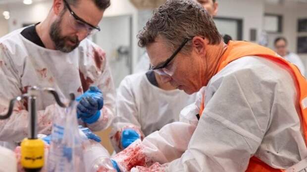 The Pitt Season 1 Episode 13 Pushes Robby to His Breaking Point And Mel to MVP Status