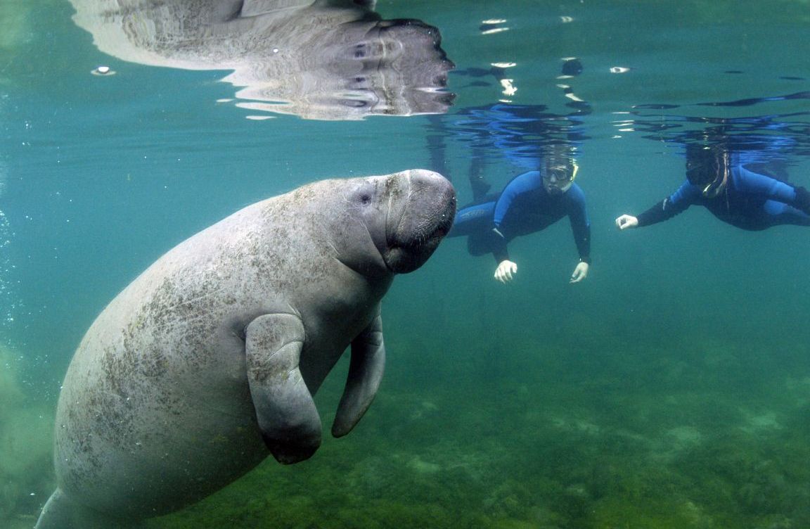 Snorkeling16 25 лучших мест для сноркелинга