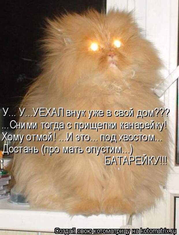 Котоматрицы (картинки с надписями)