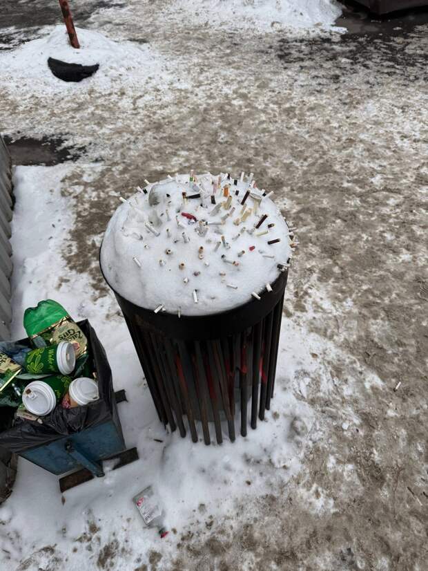 что за ежик на макаронке