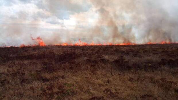Трехдневное штормовое предупреждение объявили в Крыму