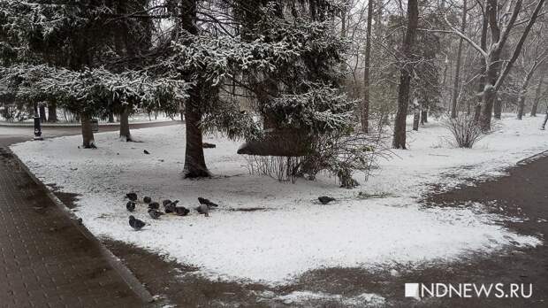 В Свердловской области пойдет снег