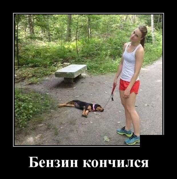 Демотиваторы (30 фото)