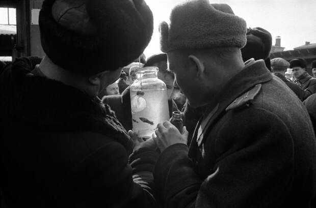 Фотография: Москва 1958 года в фотографиях Эриха Лессинга №19 - BigPicture.ru