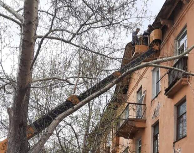Жильцов дома у «Бугринской рощи» экстренно эвакуируют в Новосибирске