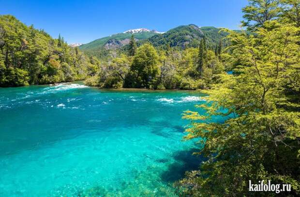 Реальная красота (60 фото)