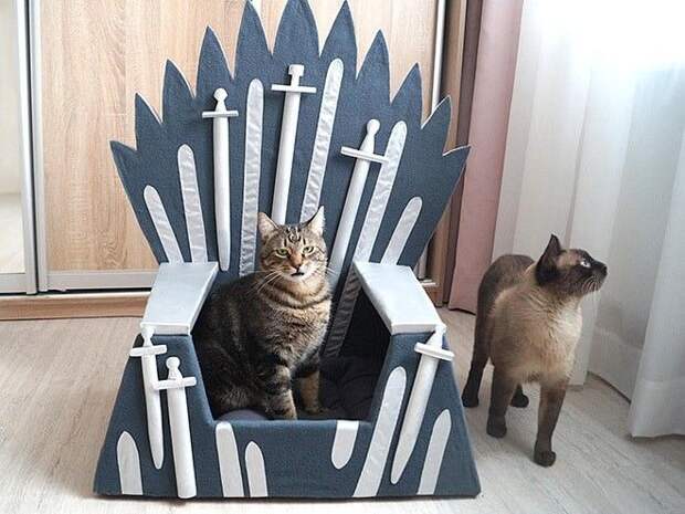 B17 фото демонстрирующих какие весёлые и нелепые вещи иногда творят люди