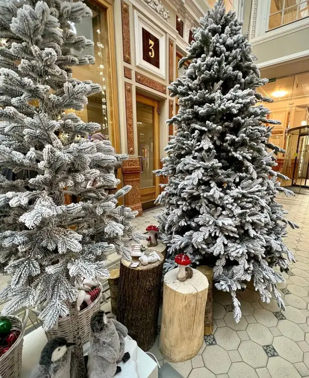 ���������� �����