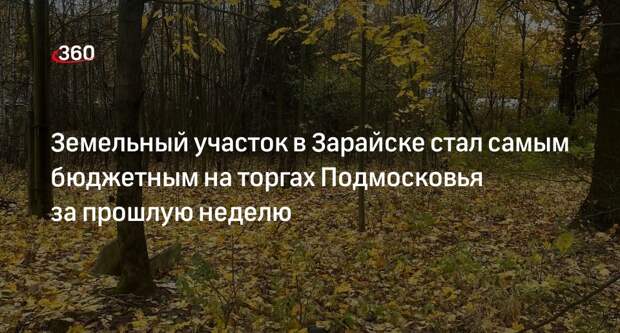 Земельный участок в Зарайске стал самым бюджетным на торгах Подмосковья за прошлую неделю