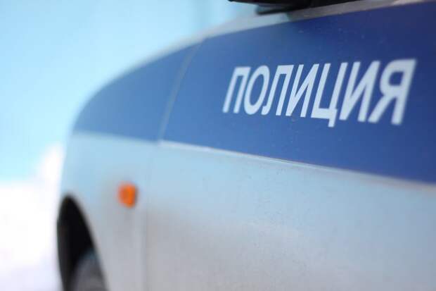 В Куркино полицейские задержали мужчину, подозреваемого в краже и угрозе убийством. Фото: pixabay.com
